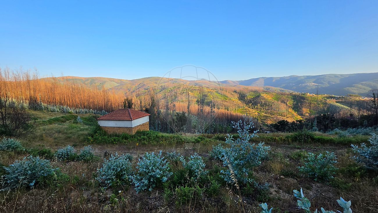 Terreno - Vila Cova de Alva e Anceriz, Arganil, Coimbra