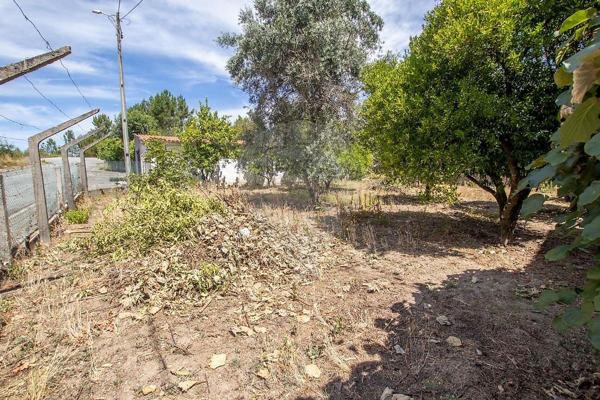Moradia T5 à venda em Nogueira do Cravo, Oliveira do Hospital — foto 17