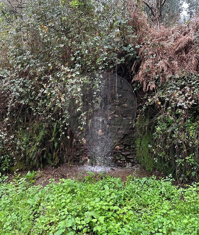 Moradia T3 à venda em Côja e Barril de Alva, Arganil — foto 8