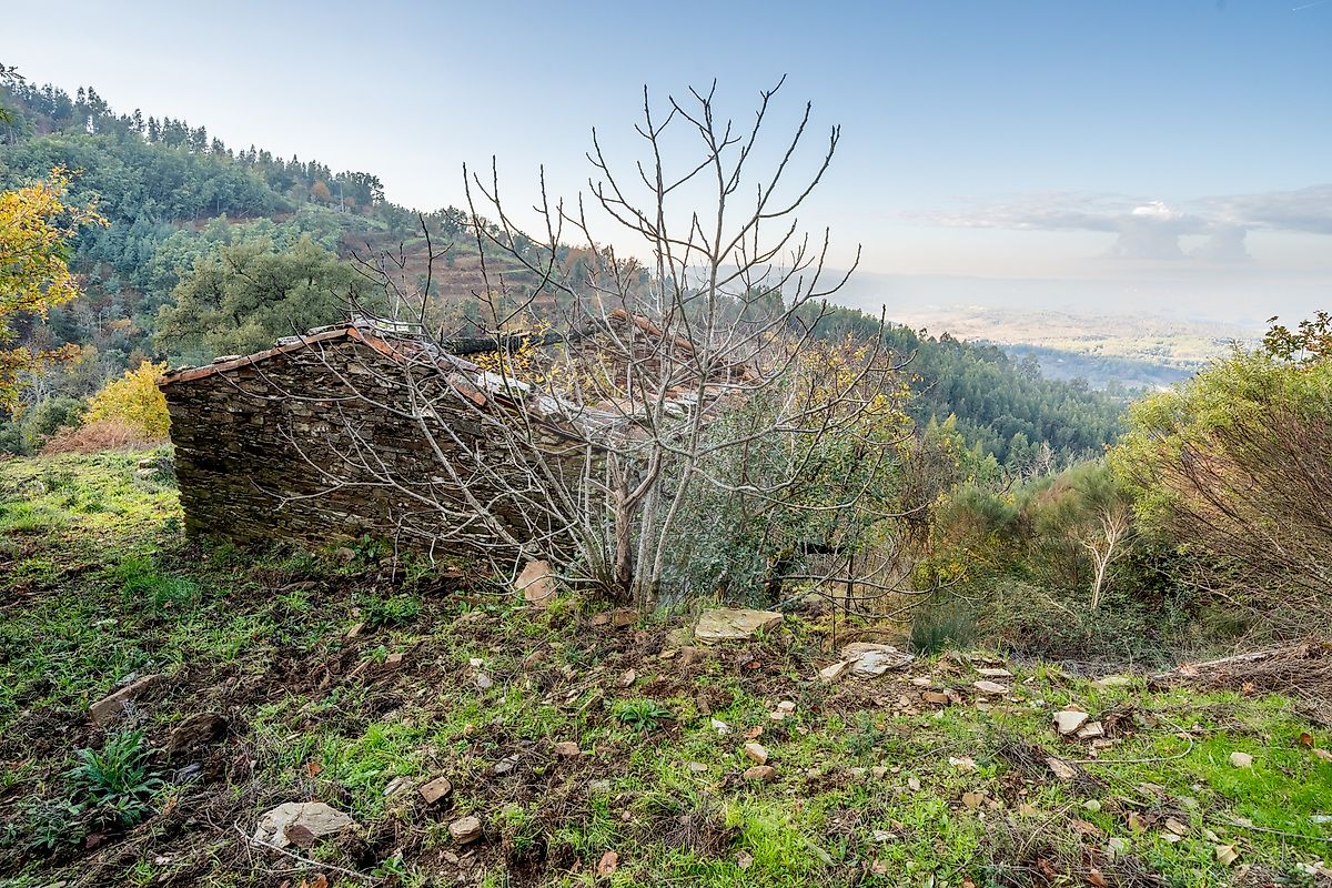 Moradia T3 à venda em Côja e Barril de Alva, Arganil — foto 26