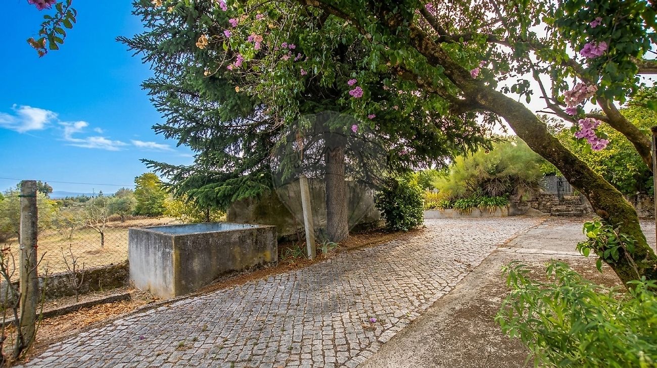 Moradia T5 à venda em Ervedal e Vila Franca da Beira, Oliveira do Hospital — foto 14