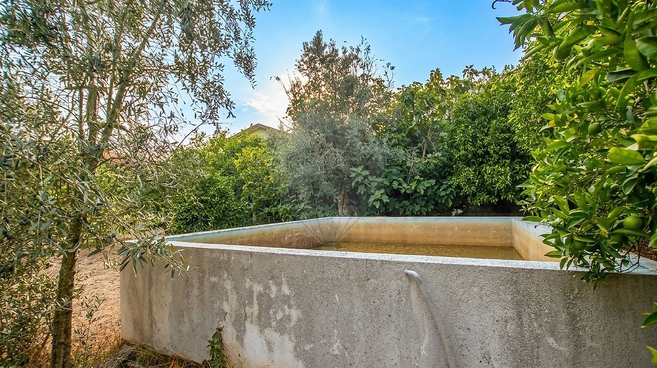 Moradia T5 à venda em Ervedal e Vila Franca da Beira, Oliveira do Hospital — foto 10