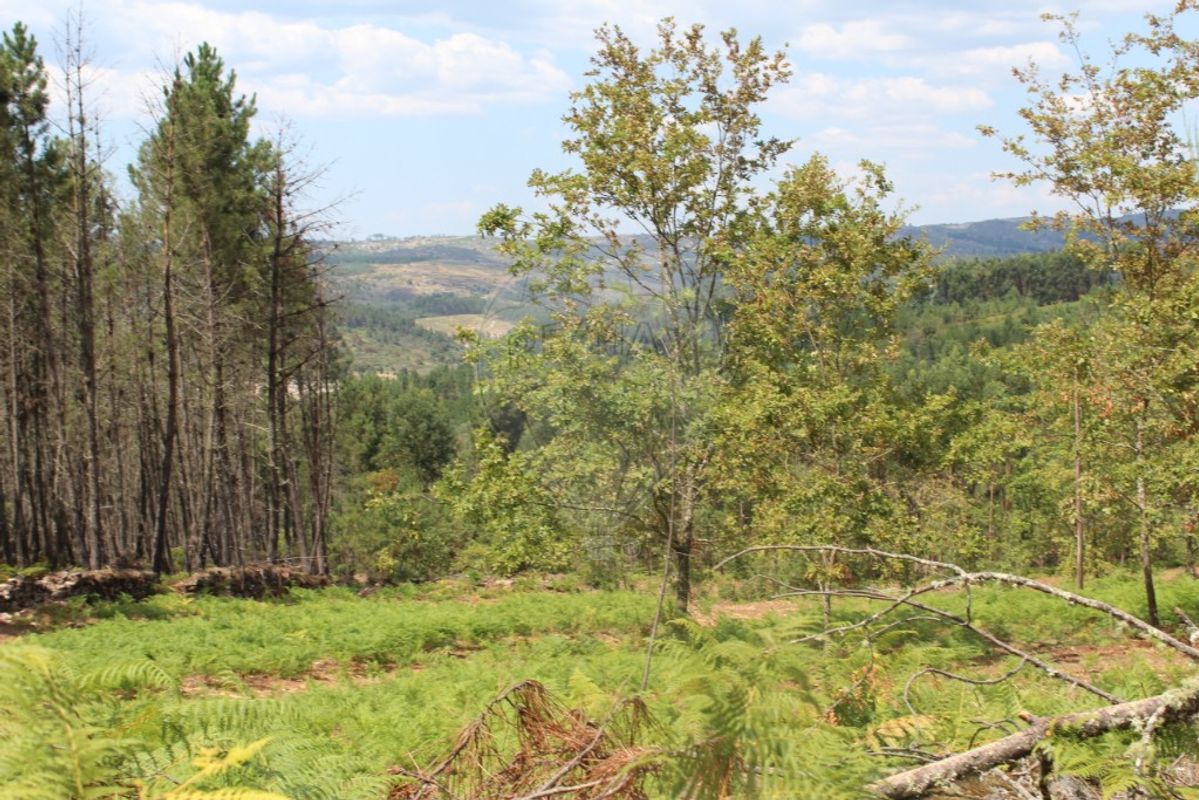 Terreno  para venda