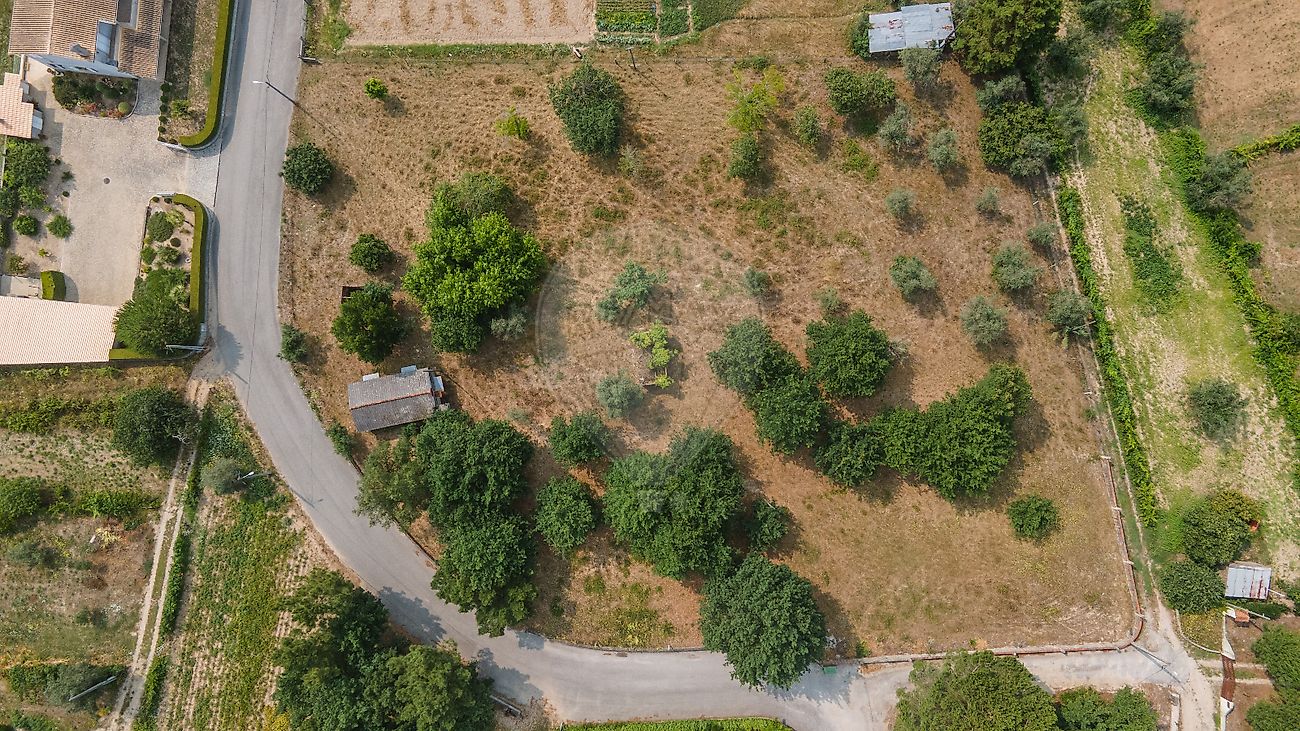 Terreno à venda em Santa Comba Dão