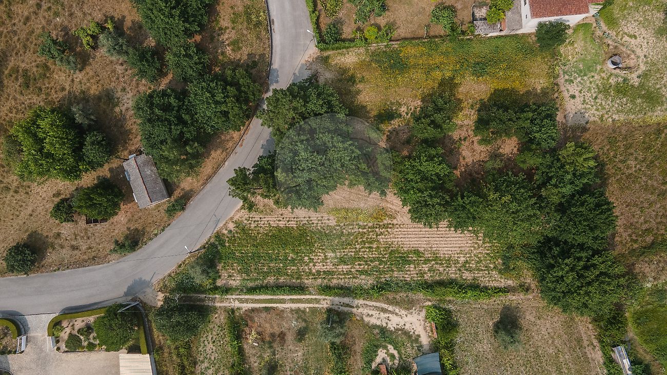 Terreno à venda em Santa Comba Dão