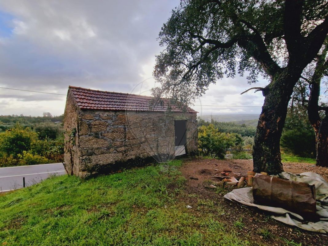 Terreno  para venda