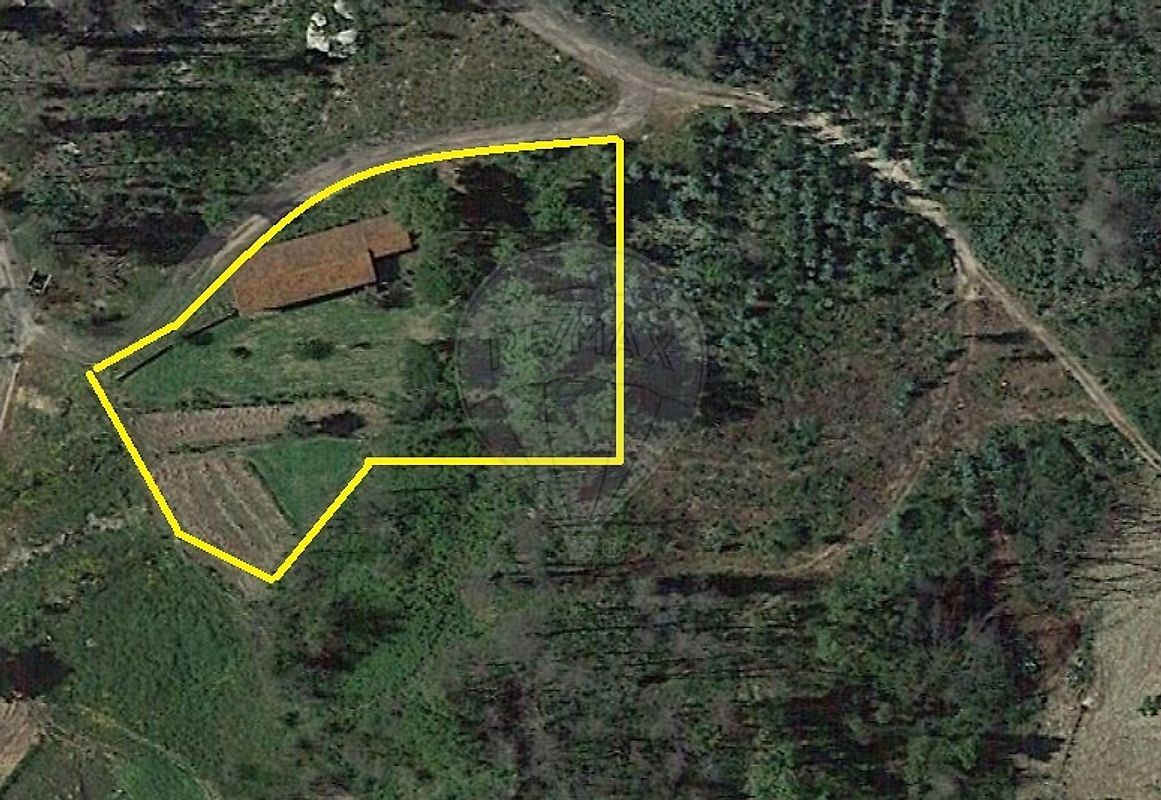 Terreno à venda em Santa Comba Dão