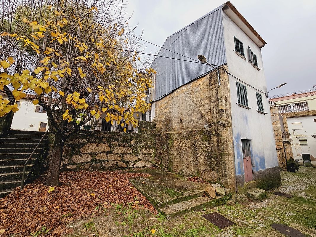 Moradia - Canas de Senhorim, Nelas, Viseu
