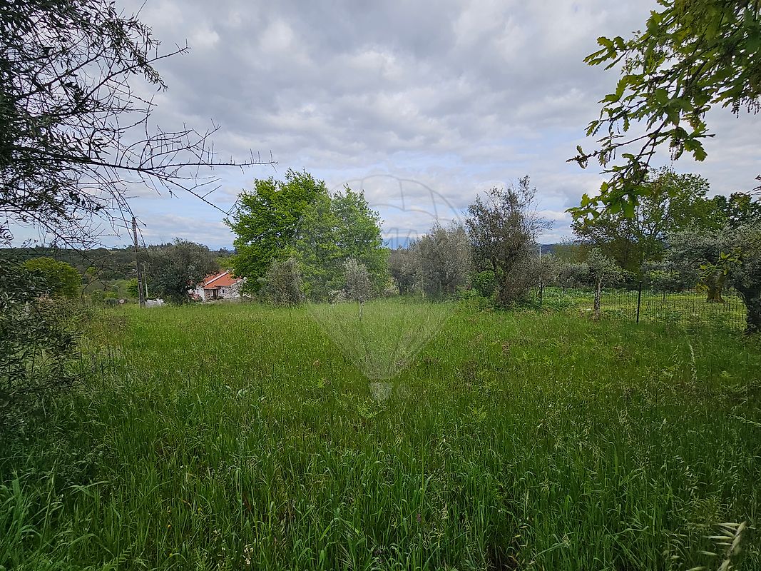 Terreno à venda em Carregal do Sal