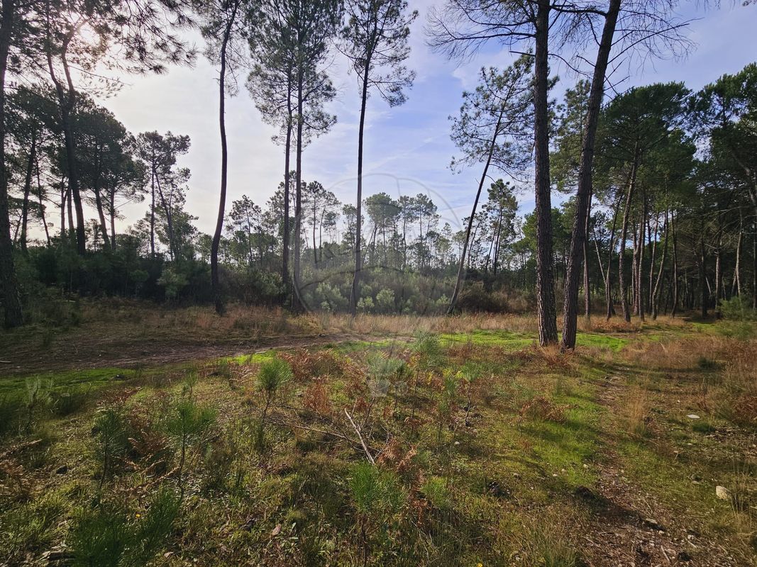 Terreno para venda
