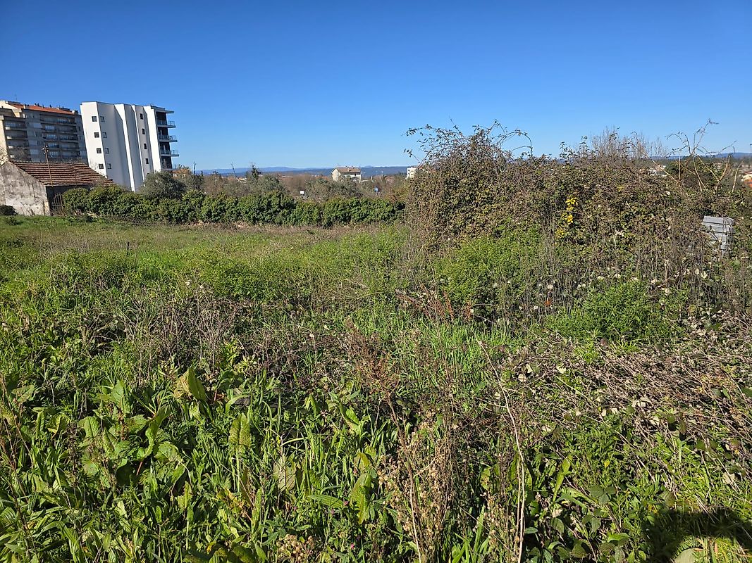 Land for sale in Mangualde, Portugal — €185,000