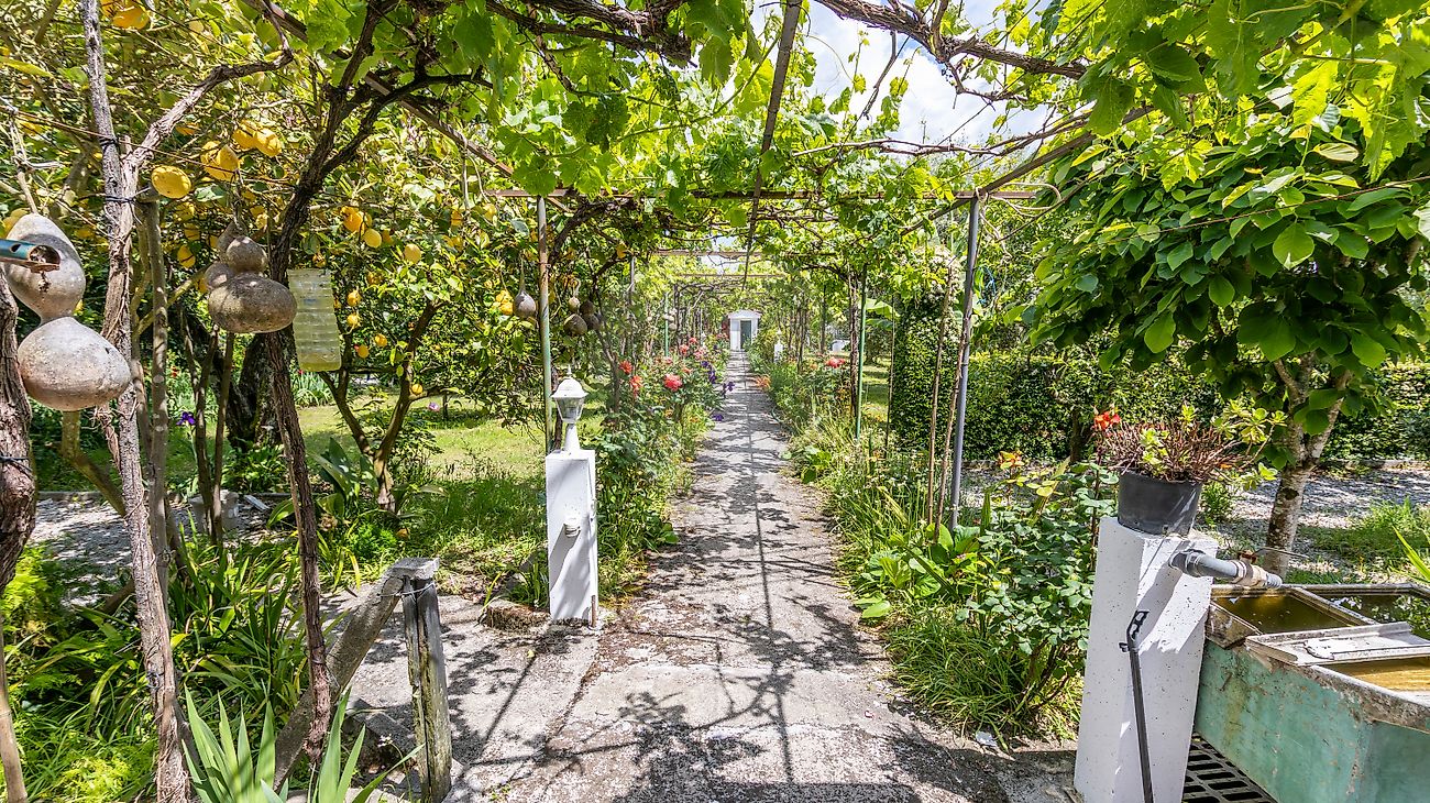 listing 124901007-41 picture-0