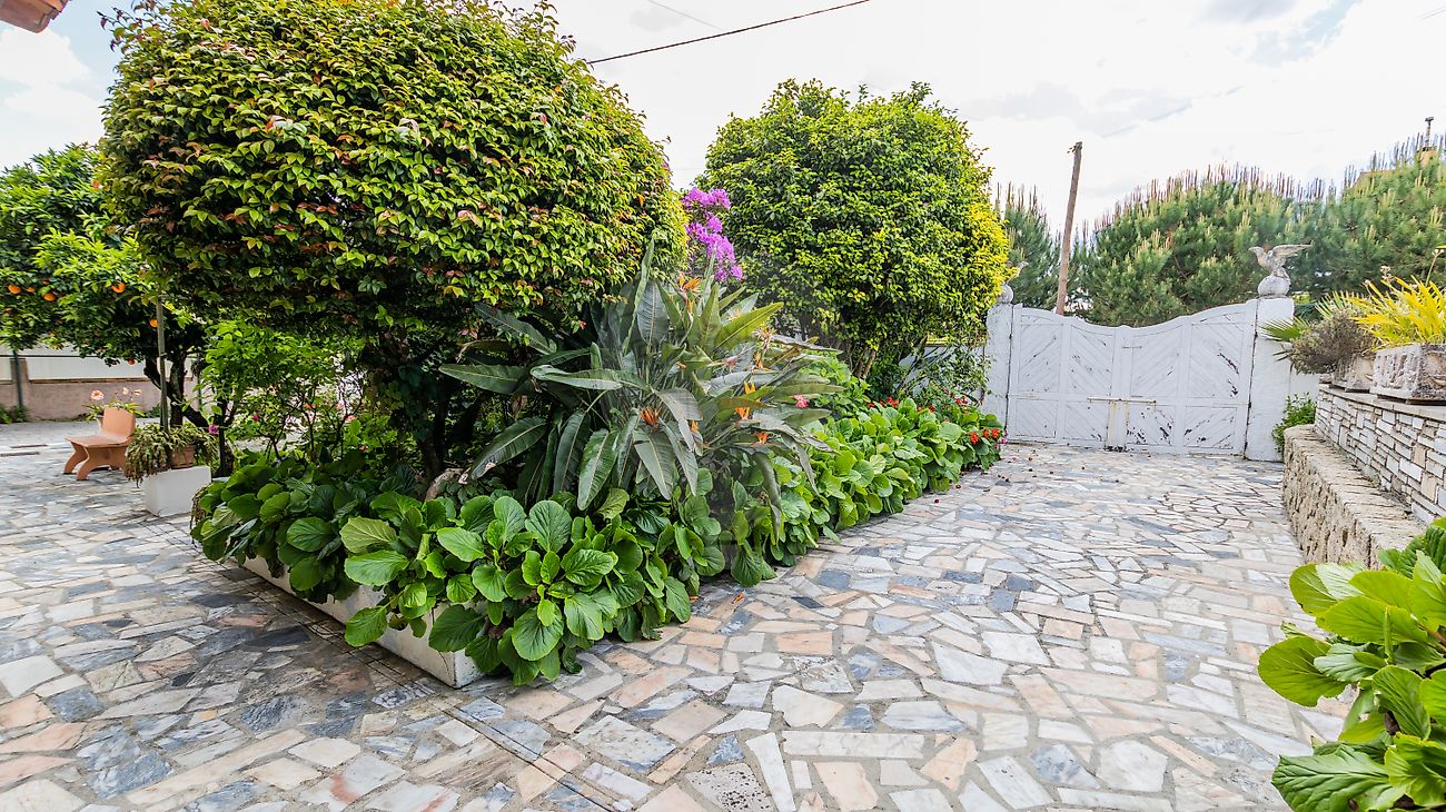 listing 124901007-41 picture-0