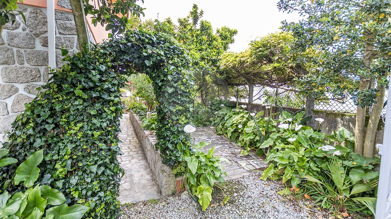 listing 124901007-41 picture-0