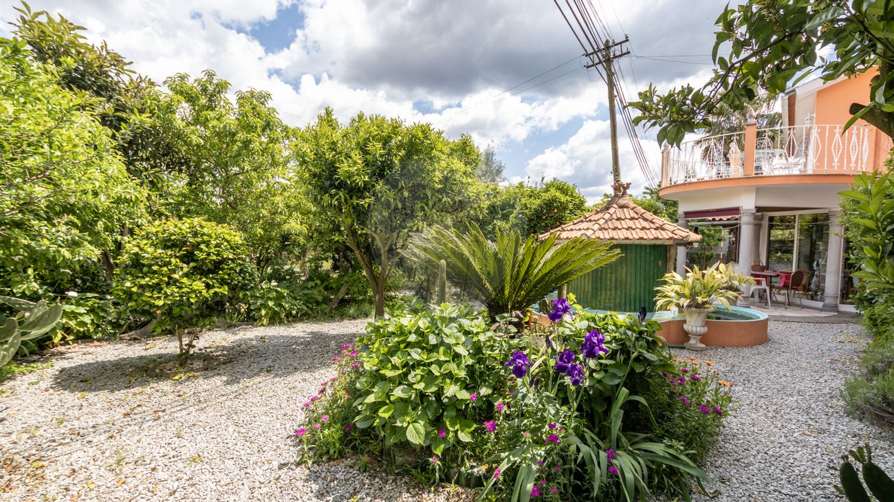 listing 124901007-41 picture-0