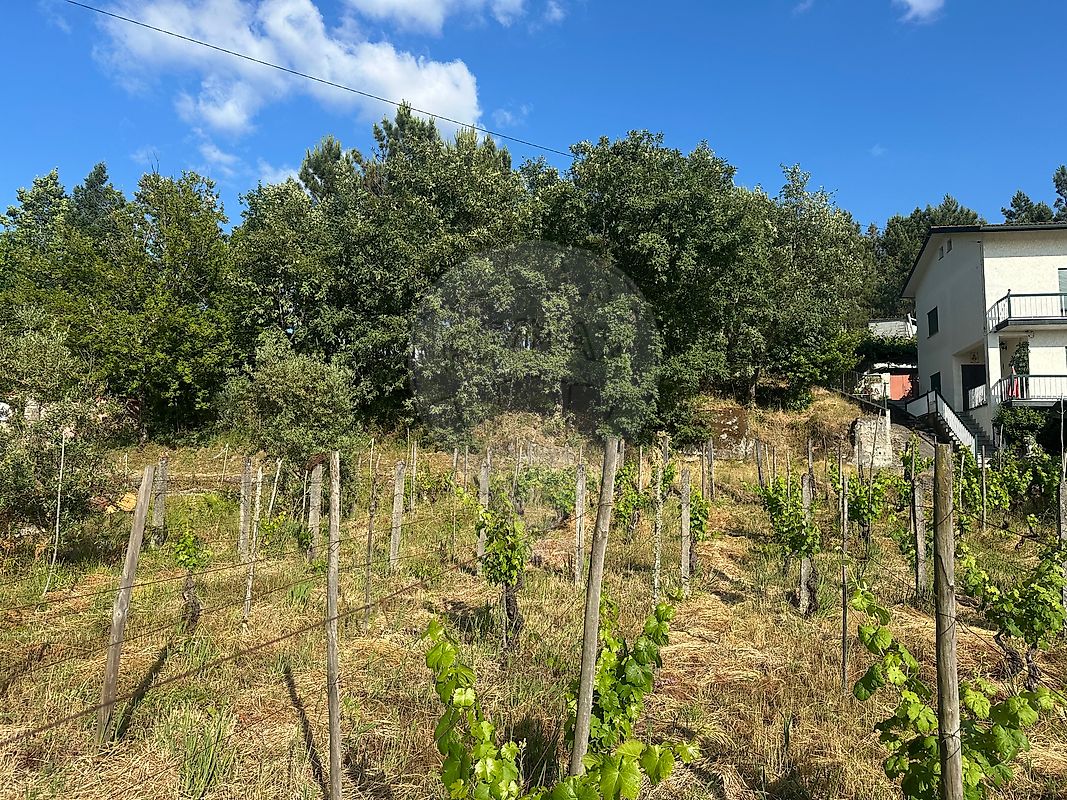 Terreno para venda