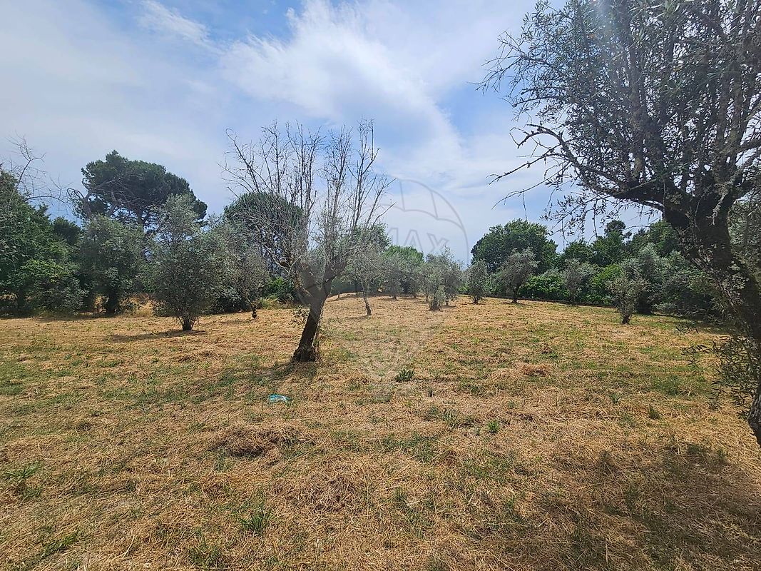 Terreno para venda