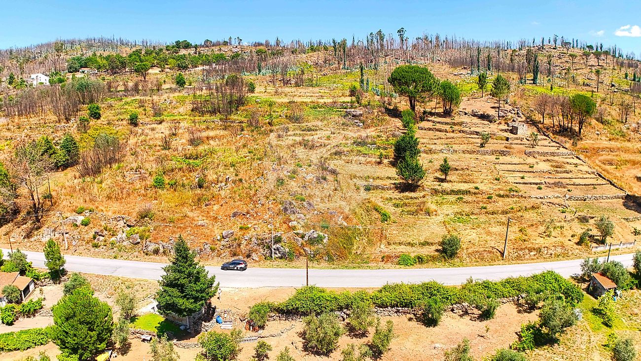 Terreno  para venda