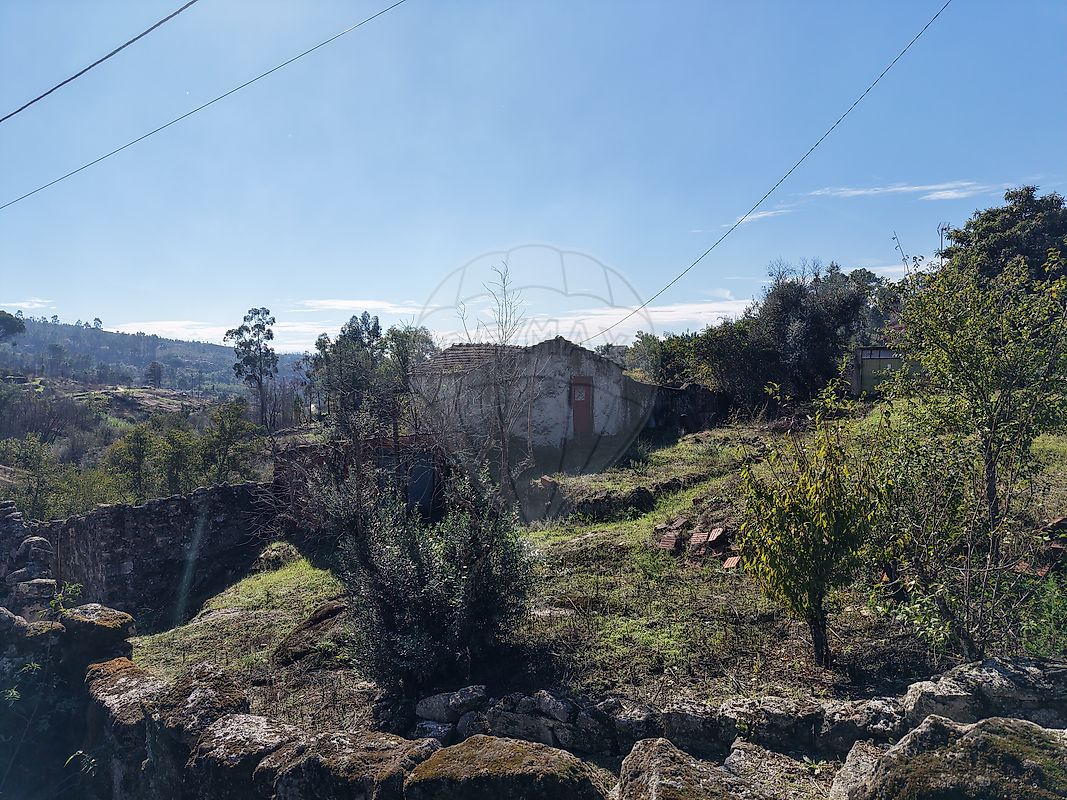 Moradia T0 à venda em Senhorim, Nelas — foto 17