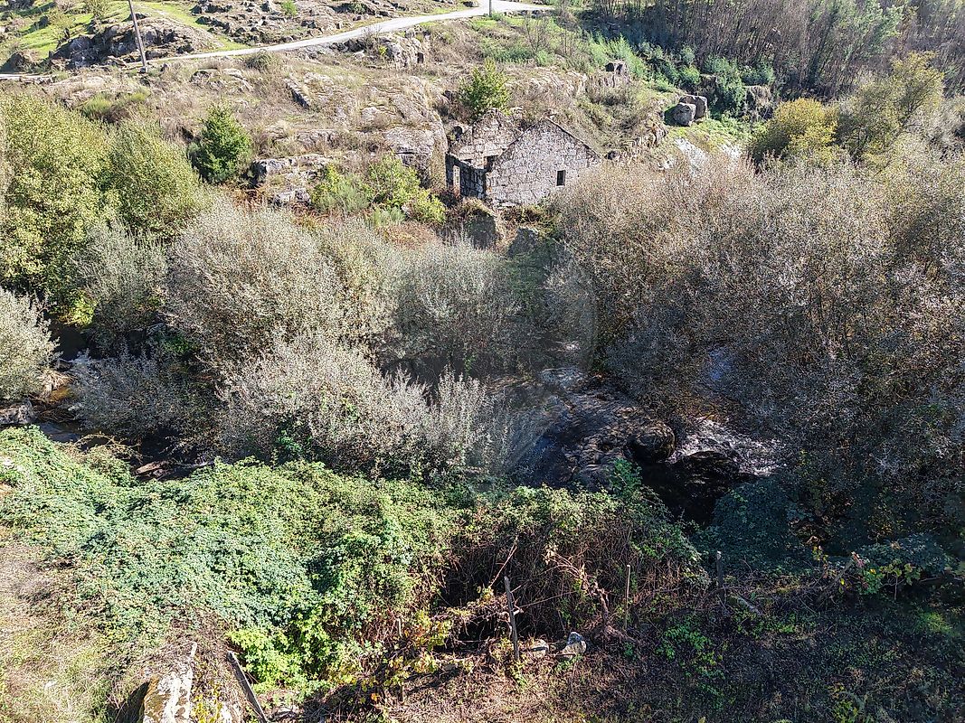 Moradia T0 à venda em Senhorim, Nelas — foto 22