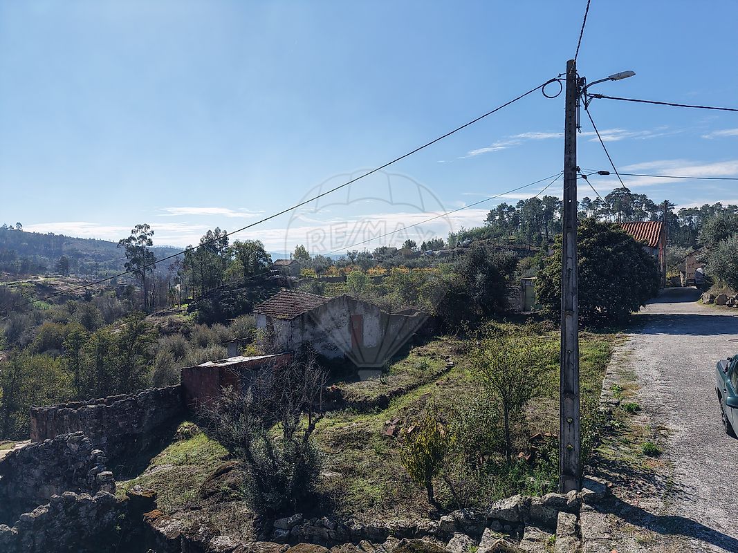 Moradia T0 à venda em Senhorim, Nelas — foto 14
