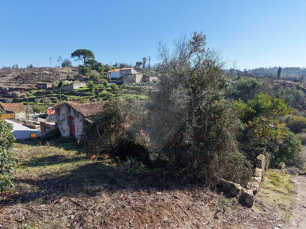 Moradia T0 à venda em Senhorim, Nelas — foto 21