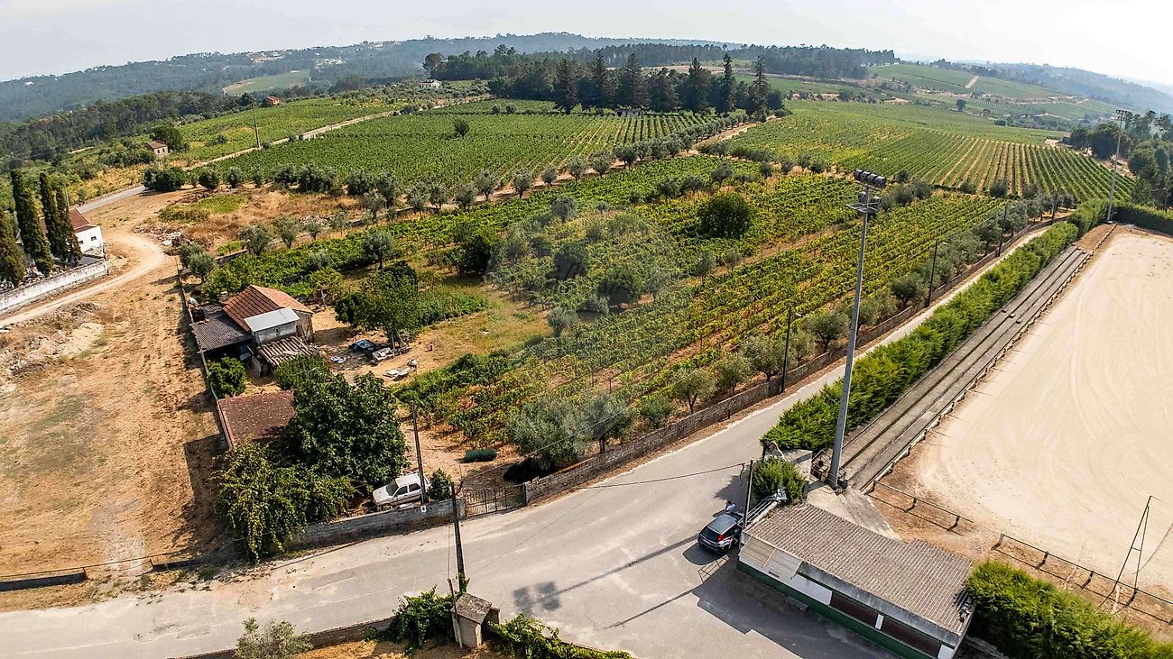 Terreno  para venda