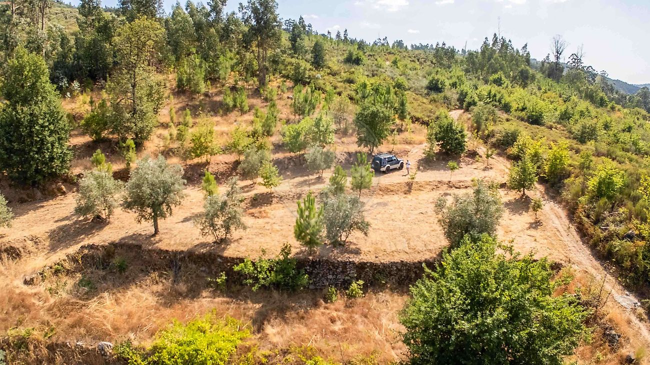 Terreno para venda