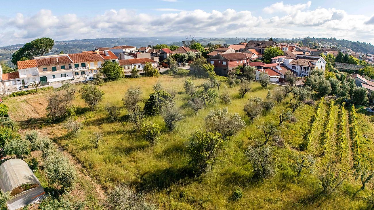 Terreno - Santar e Moreira, Nelas, Viseu