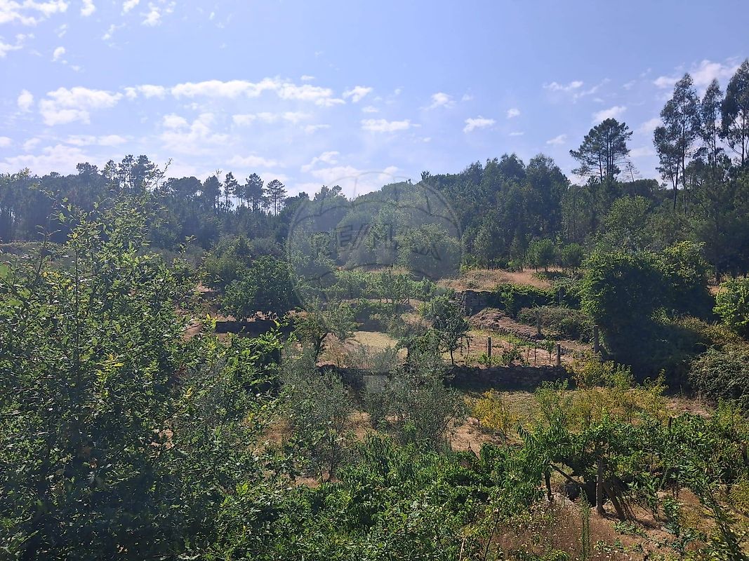 Terreno - Nelas, Nelas, Viseu