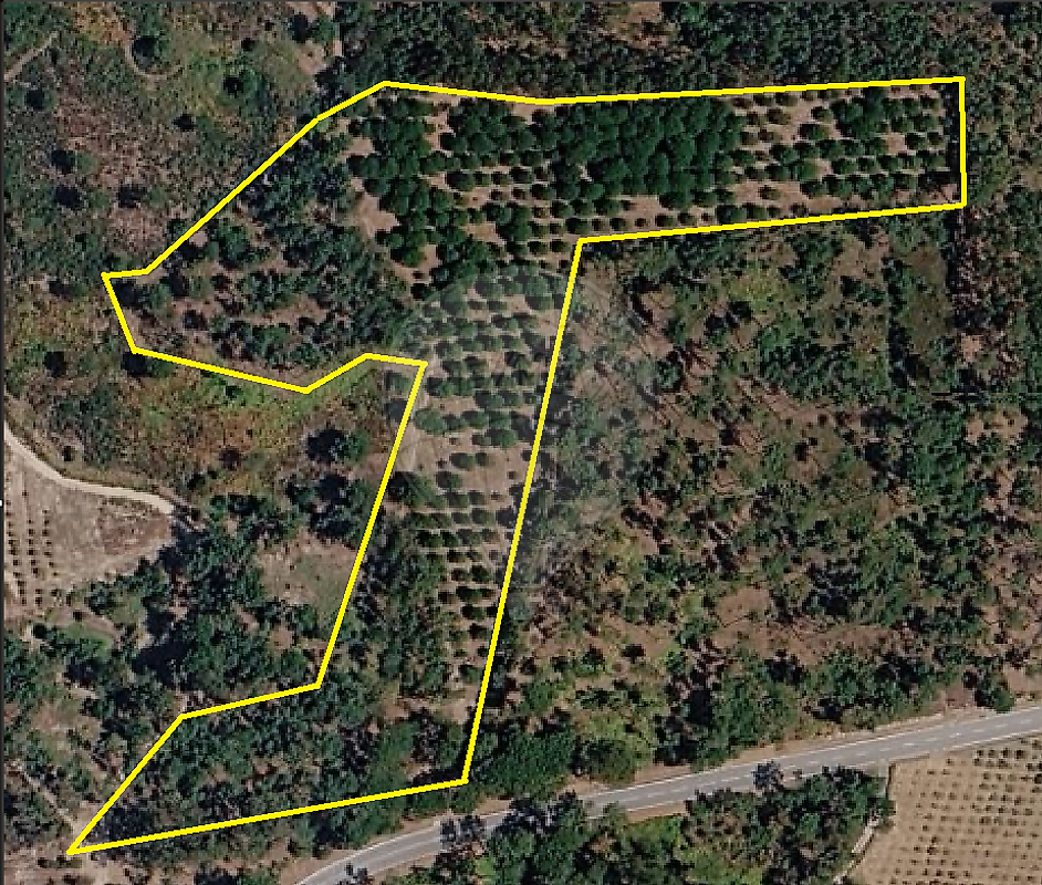 Terreno à venda em Mangualde