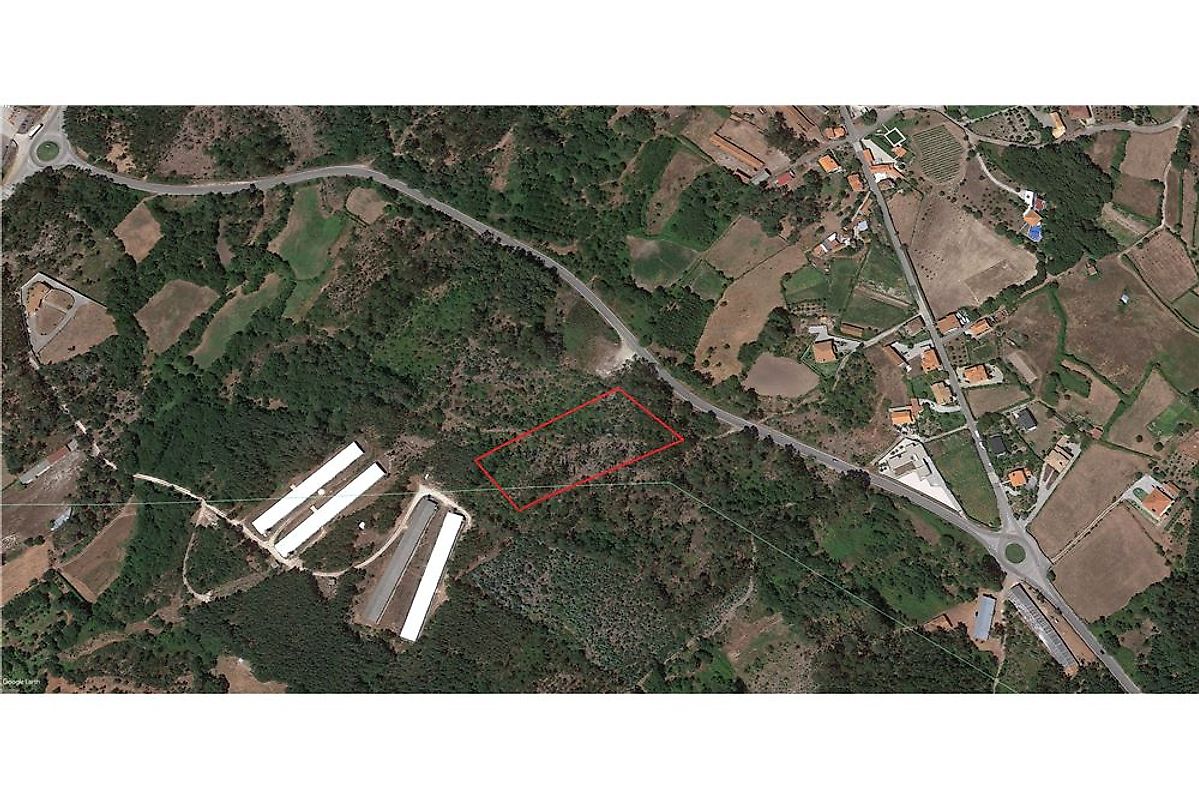 Terreno à venda em Oliveira de Frades