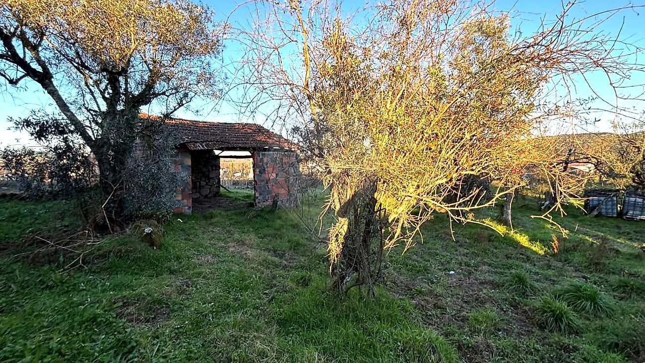 TODO