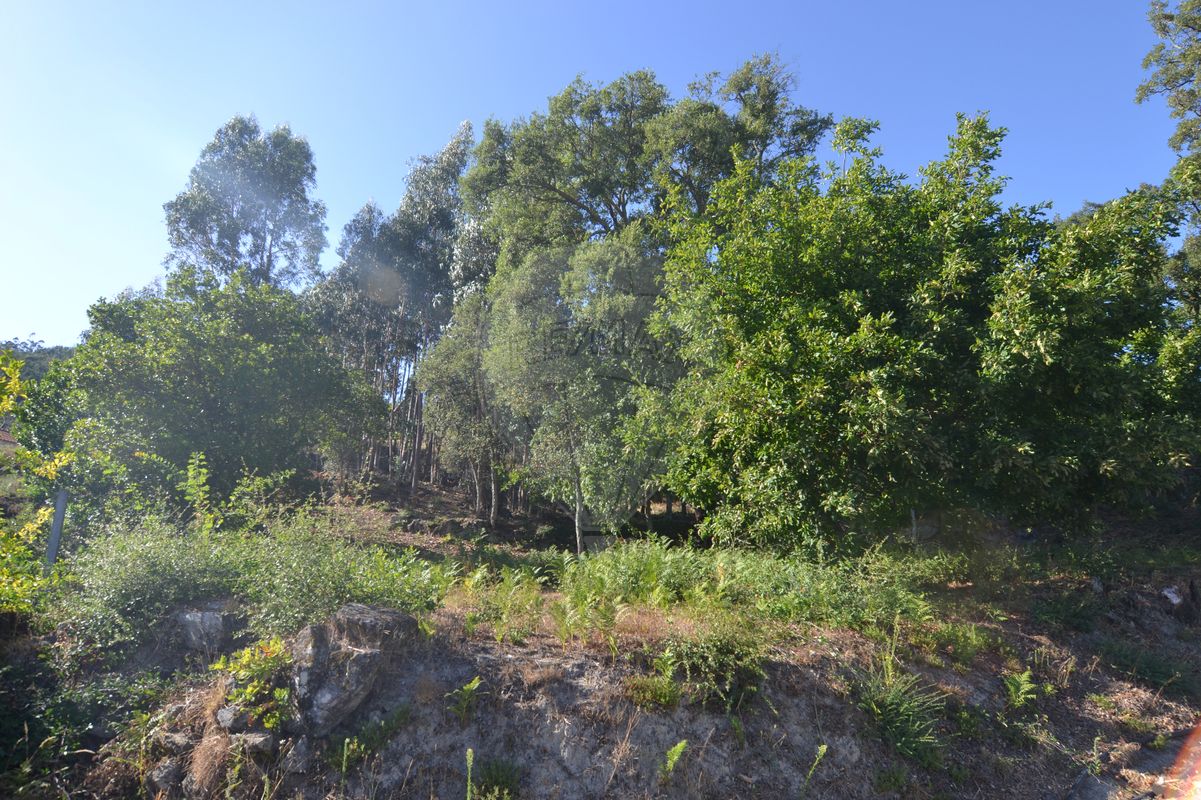 Terreno  para venda