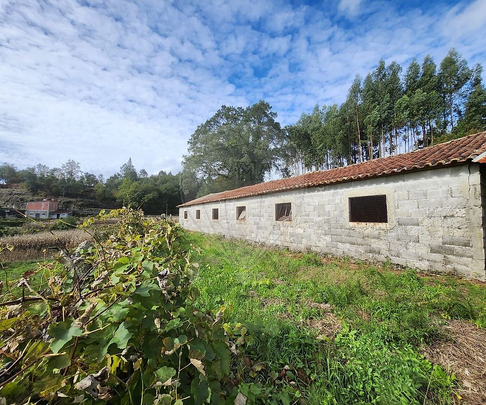 Armazém para venda