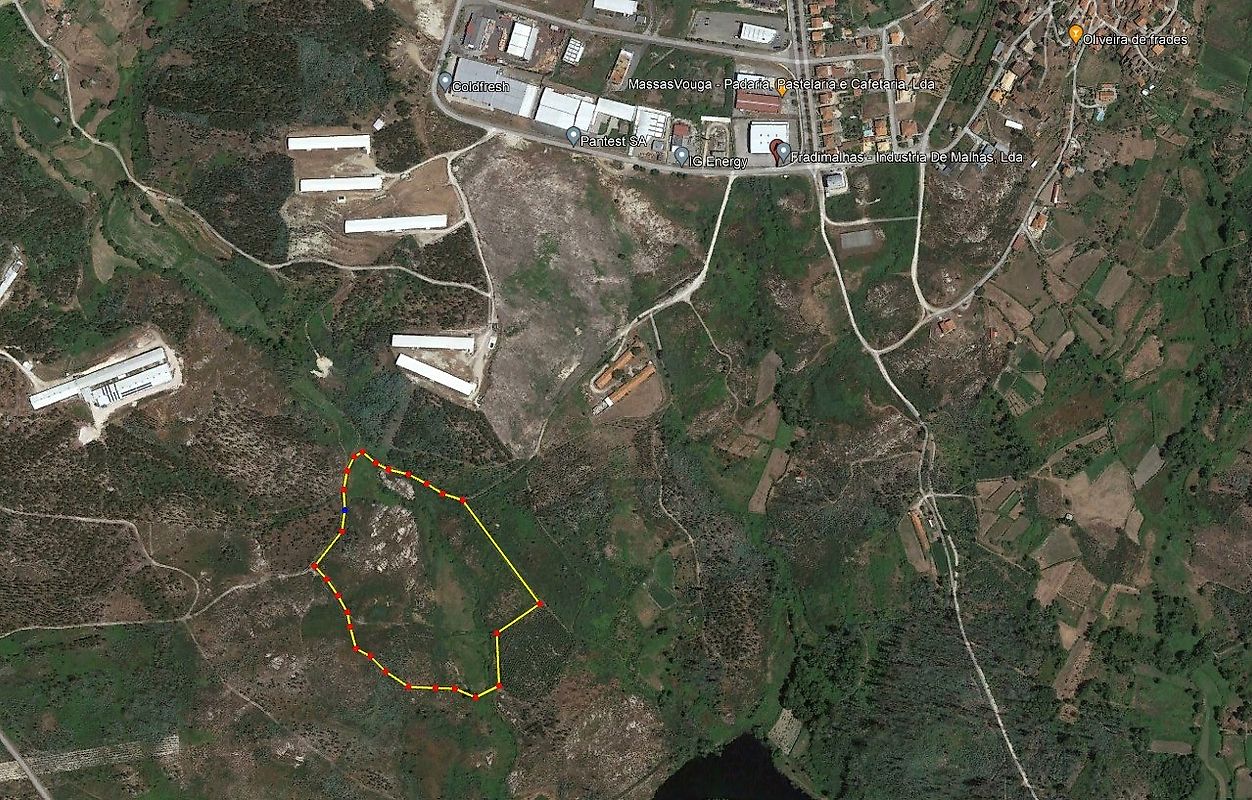 Terreno - Oliveira de Frades, Souto de Lafões e Sejães, Oliveira de Frades, Viseu