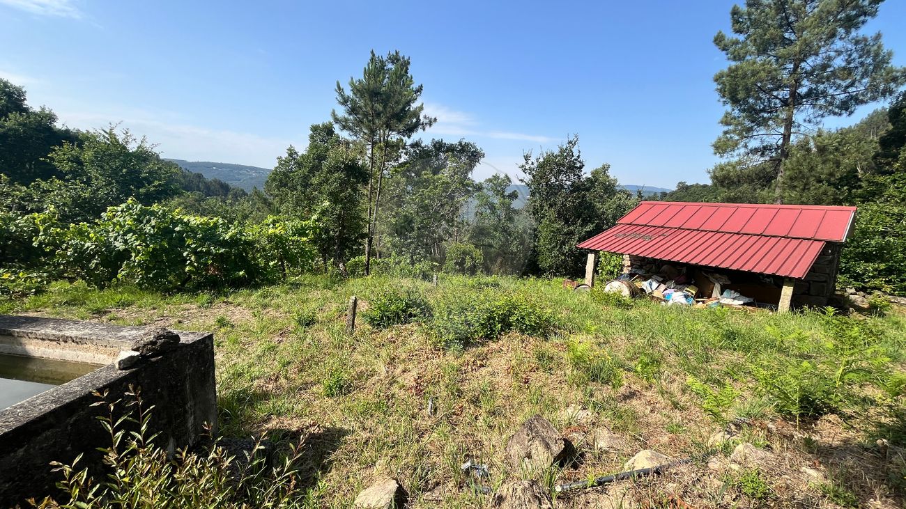 Terreno  para venda