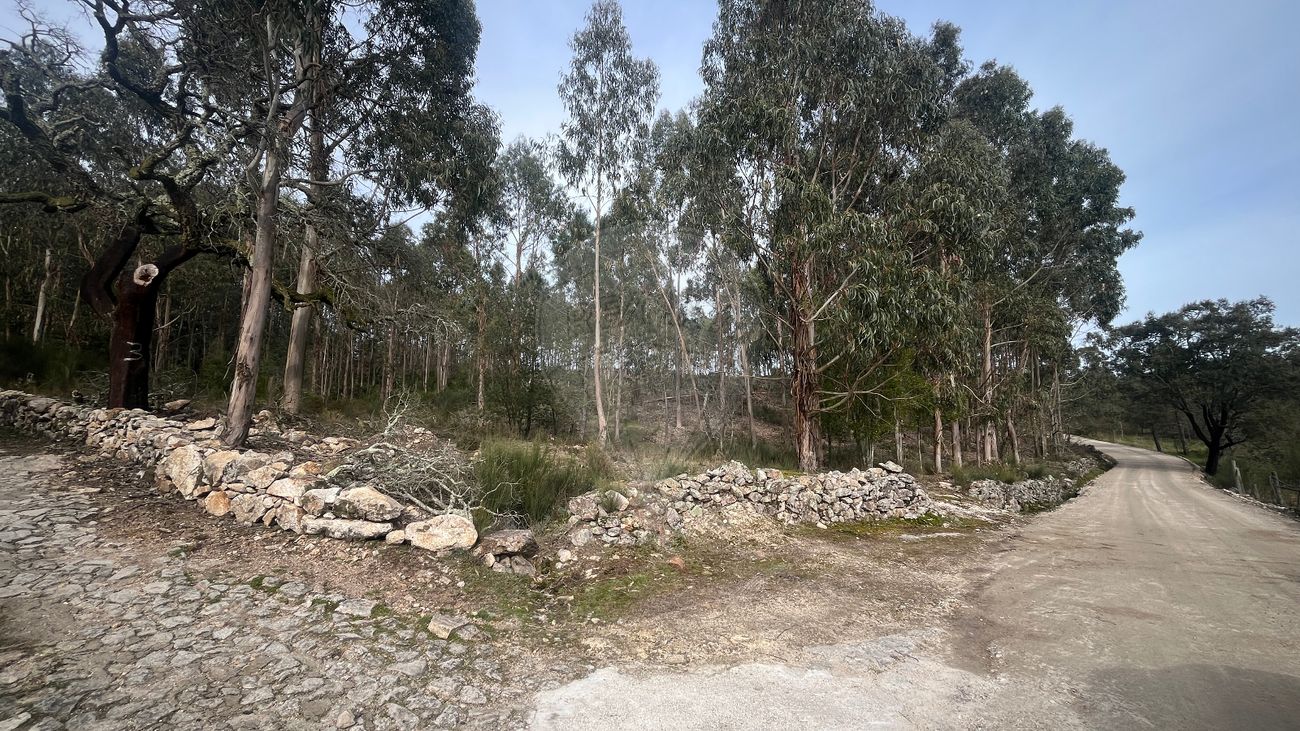 Terreno para venda