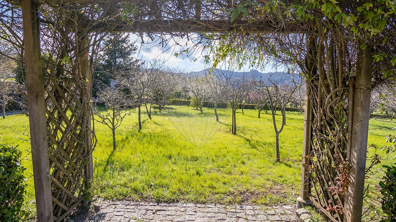 listing-picture-0
