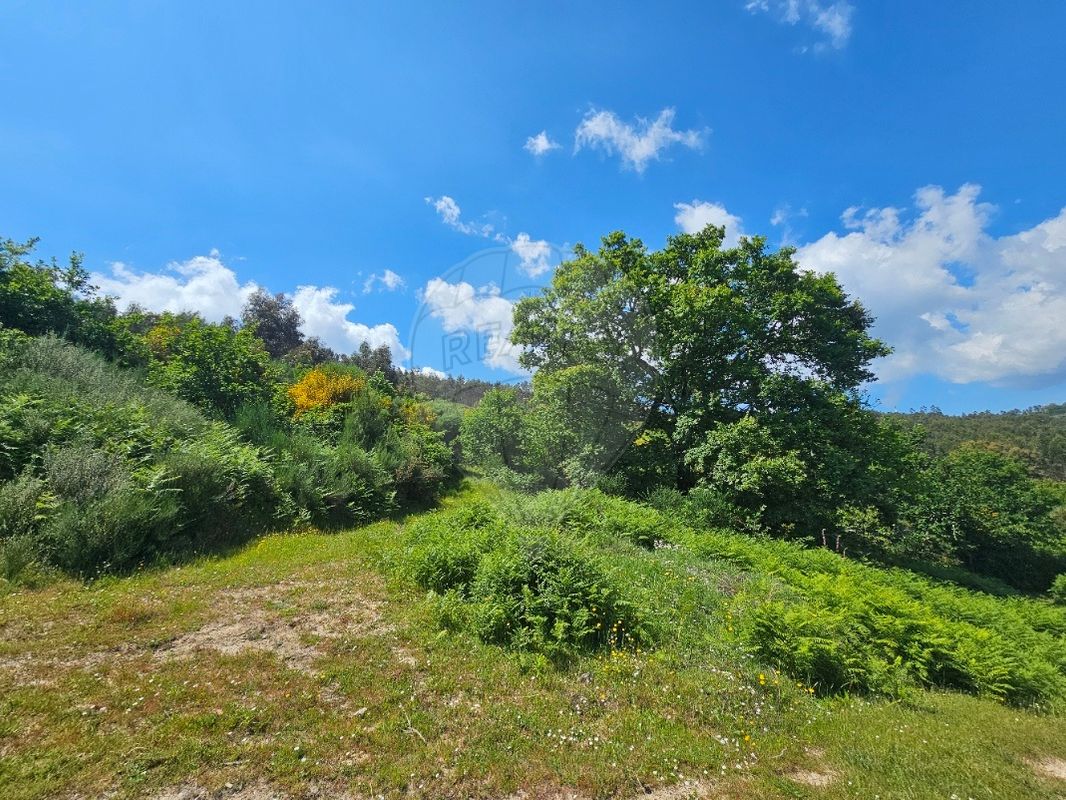 Terreno  para venda