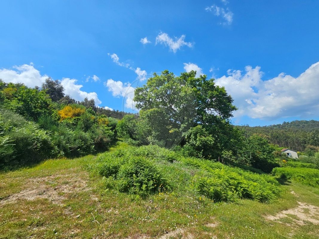 Terreno para venda