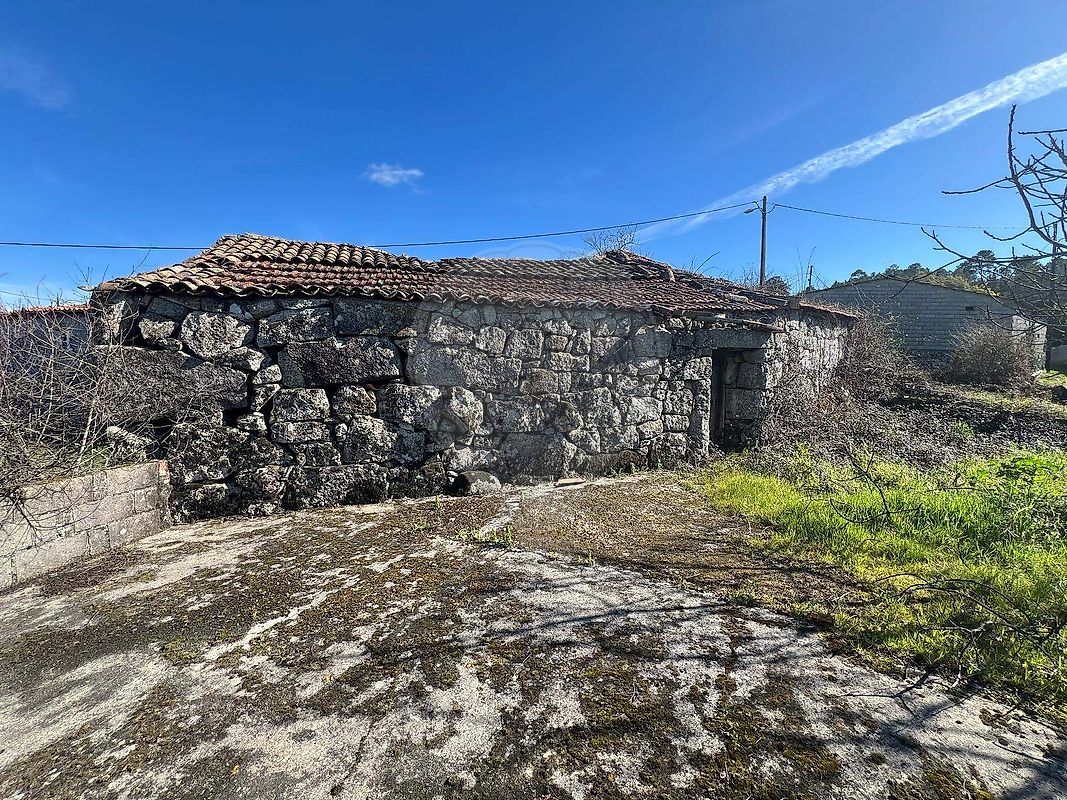 Terreno - São Miguel do Mato, Vouzela, Viseu