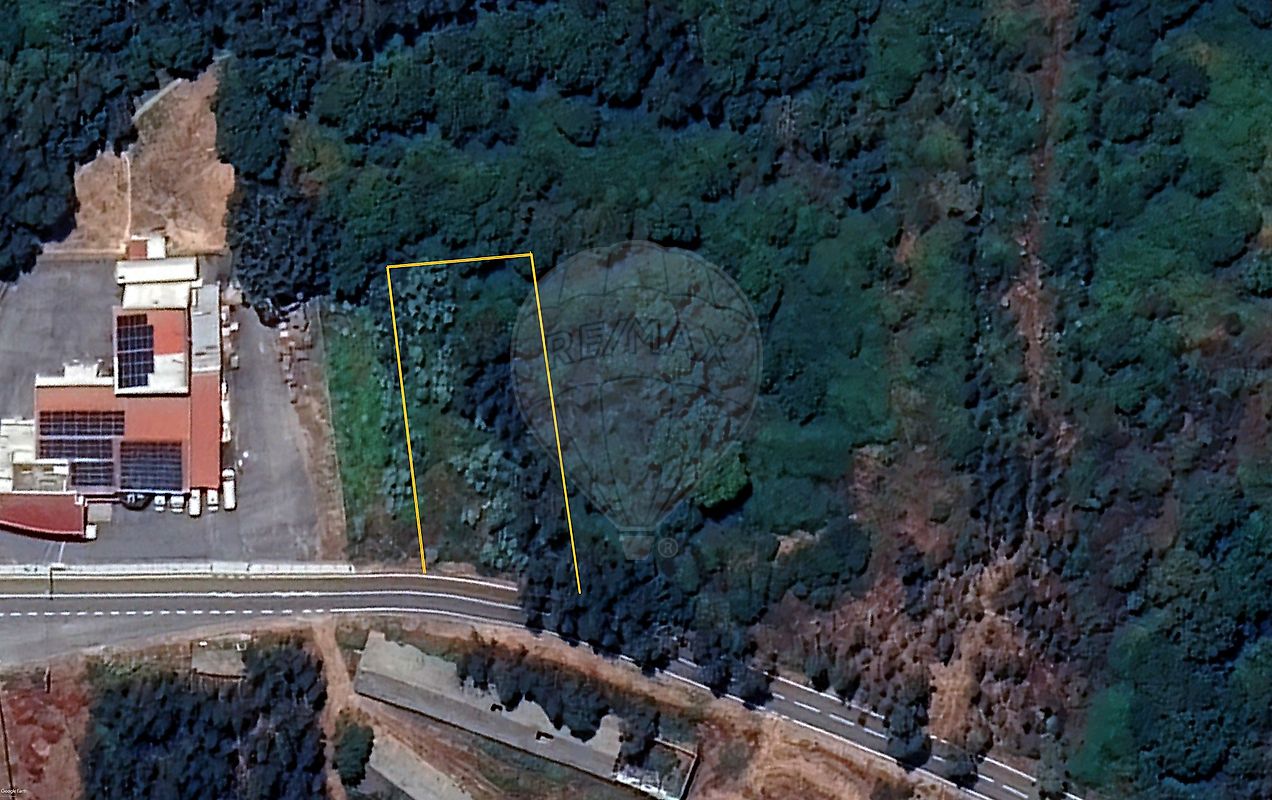Terreno - Pinheiro, Oliveira de Frades, Viseu