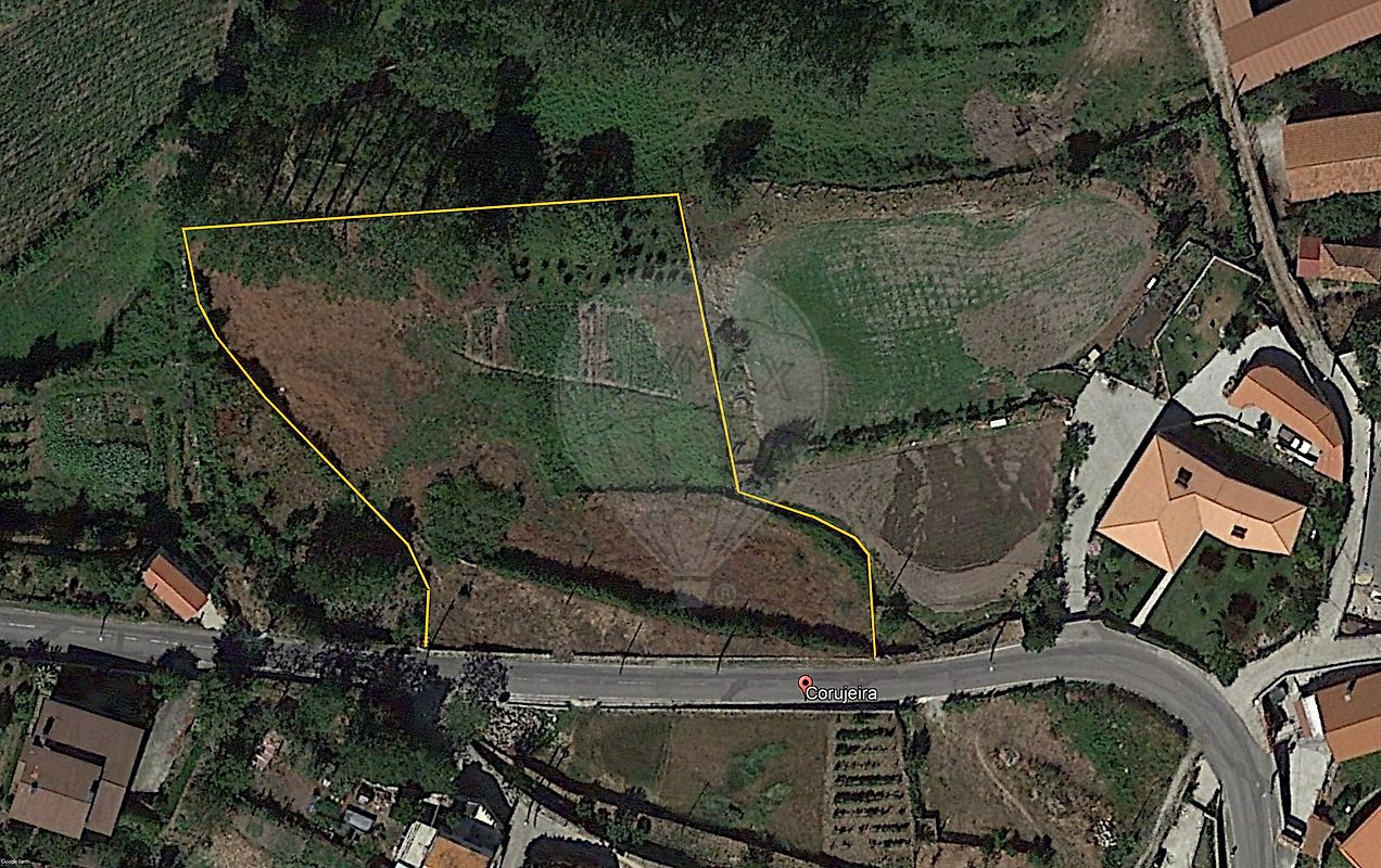 Terreno - Cambra e Carvalhal de Vermilhas, Vouzela, Viseu
