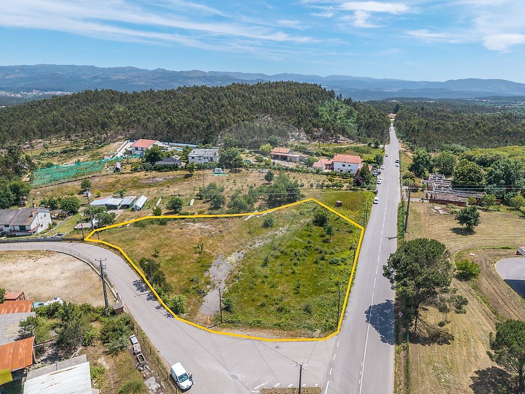 Terreno - Pinheiro, Oliveira de Frades, Viseu