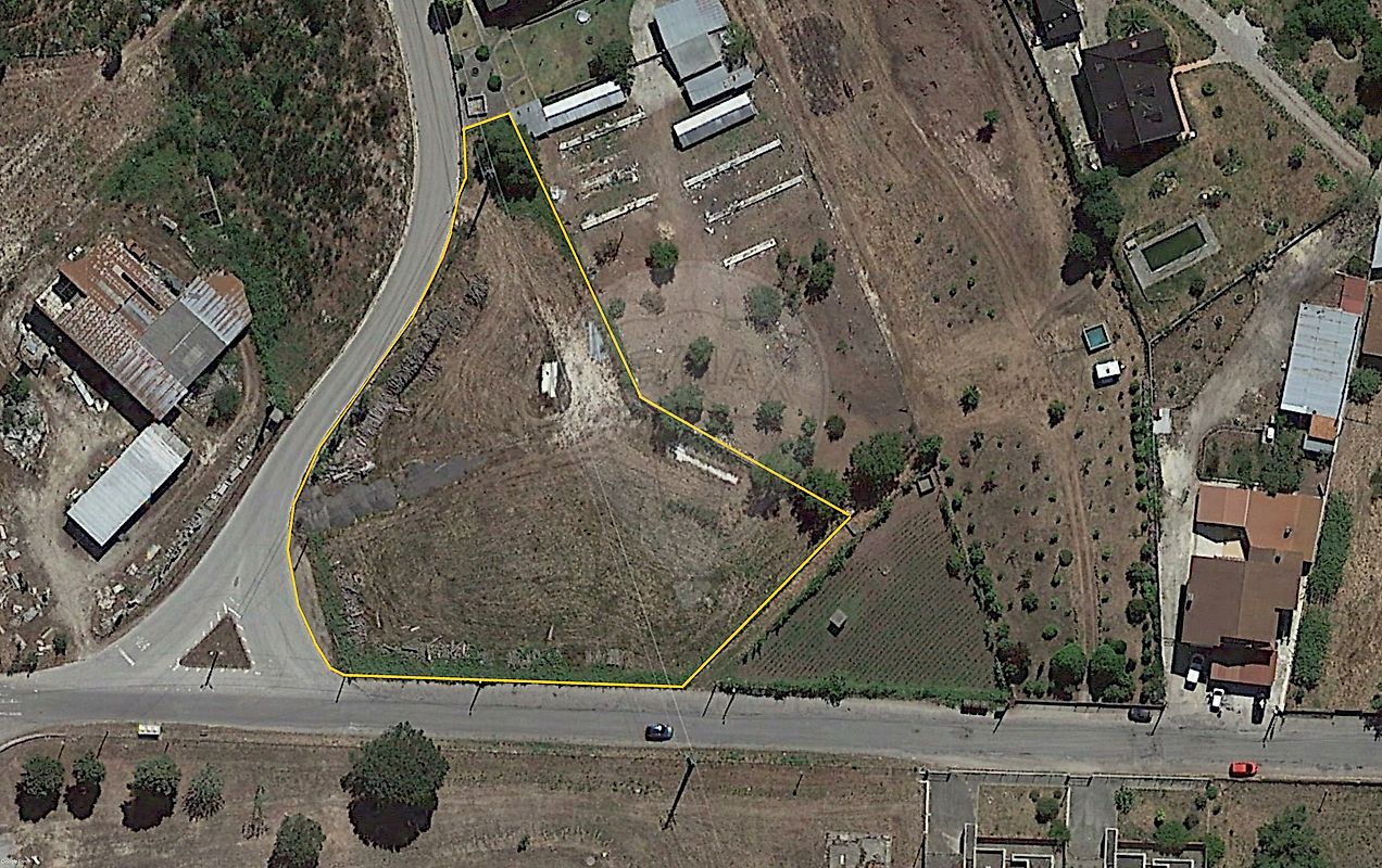 Terreno - Pinheiro, Oliveira de Frades, Viseu