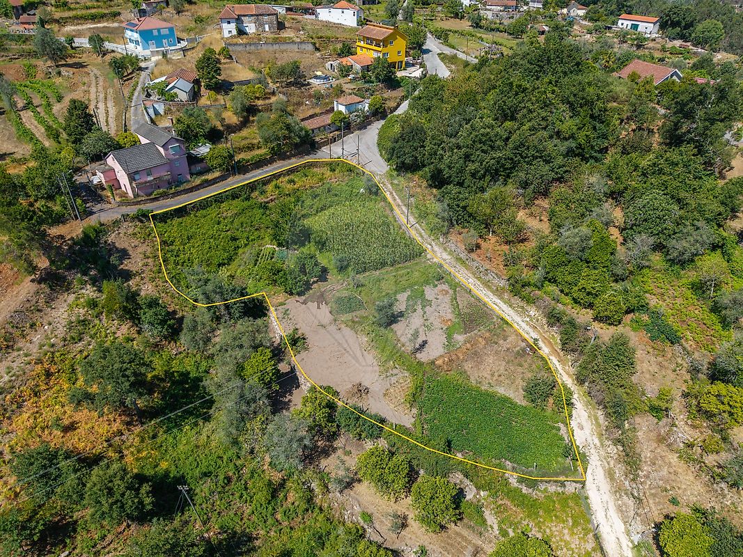 Terreno - Oliveira de Frades, Souto de Lafões e Sejães, Oliveira de Frades, Viseu