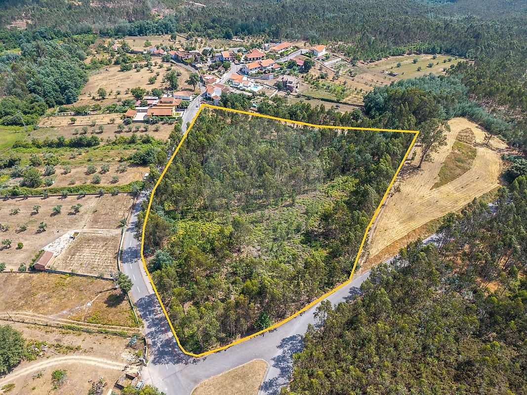 Terreno - Molelos, Tondela, Viseu