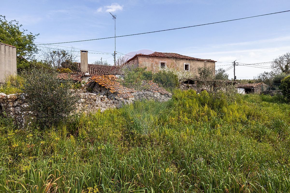listing 123532010-3 picture-0