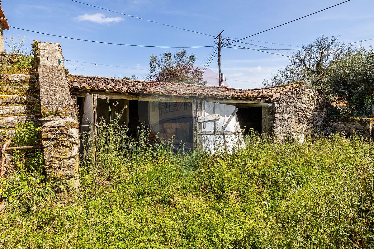 listing 123532010-3 picture-0